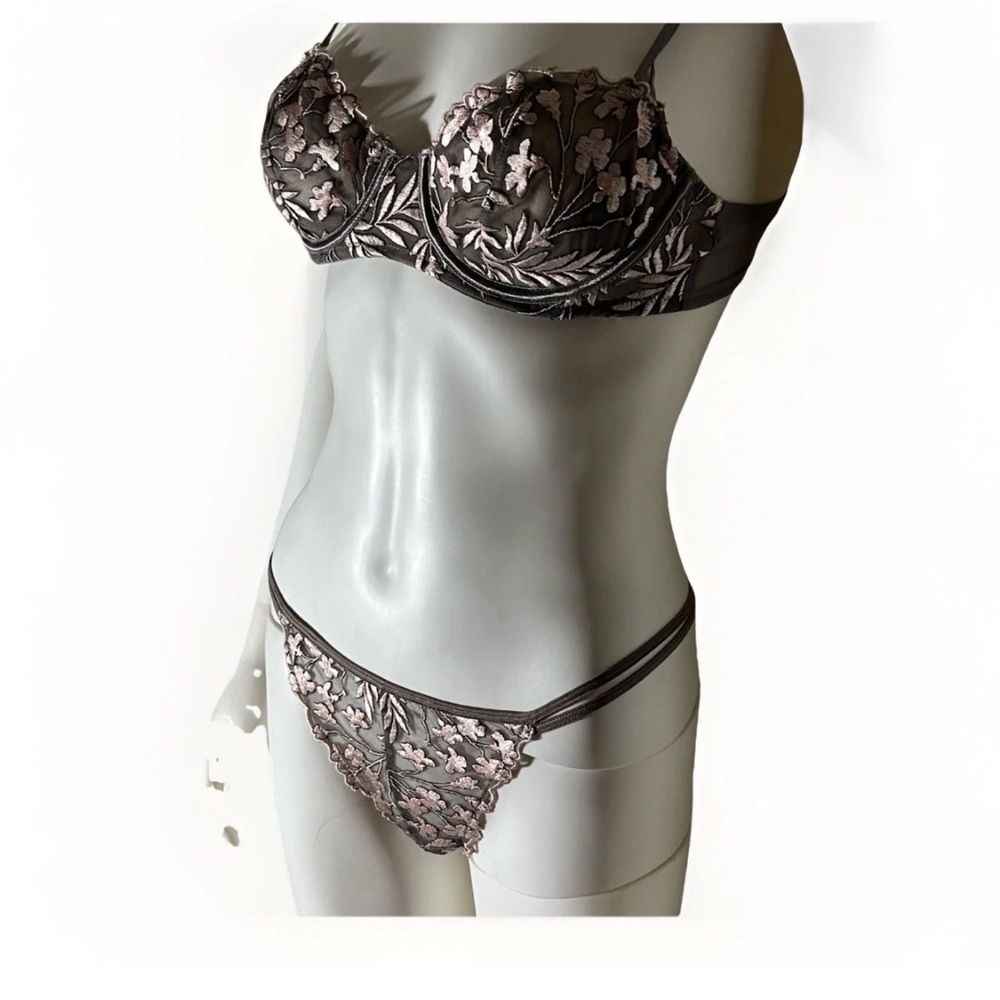 NWOT Natori Gray Mesh & Pink Floral Embroidery Bra & Thong Set 34B & S